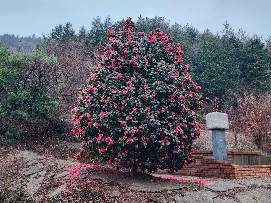 KakaoTalk_20230326_170927245.jpg?type=w1