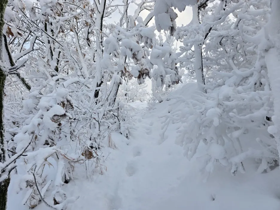 KakaoTalk_20241129_050938052_08.jpg?type=w1