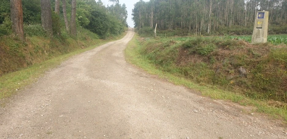 KakaoTalk_20220621_020901713_08.jpg?type=w1