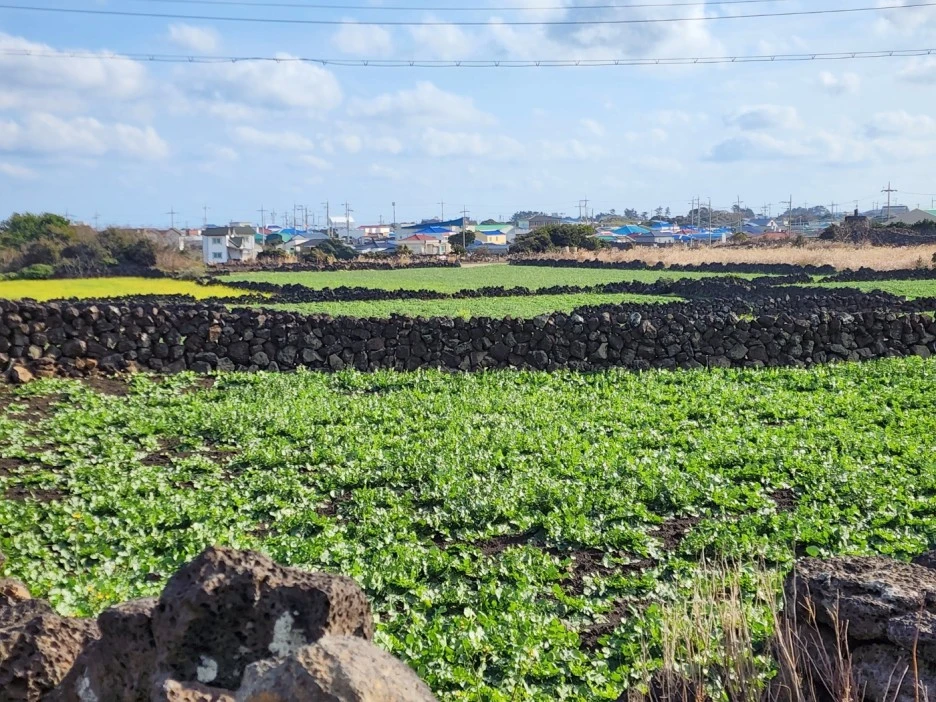 KakaoTalk_20221230_044226047_11.jpg?type=w1