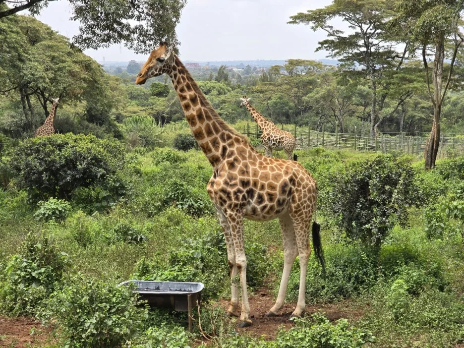 KakaoTalk_20250328_023001721_04.jpg?type=w1