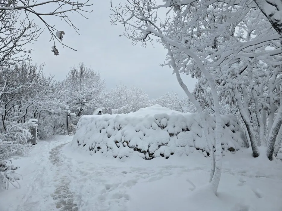 KakaoTalk_20241129_050938052_27.jpg?type=w1