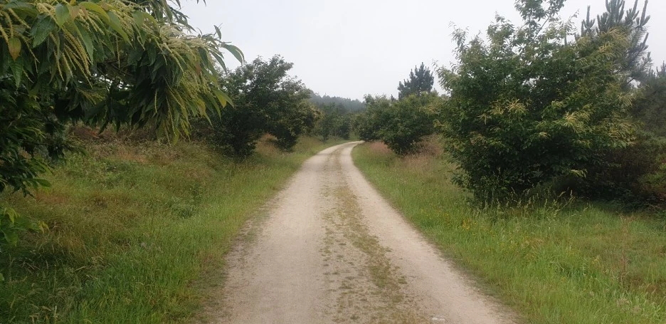 KakaoTalk_20220621_024759802_07.jpg?type=w1