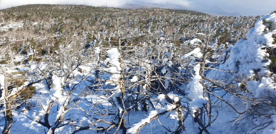 20211210_123353.jpg?type=w1