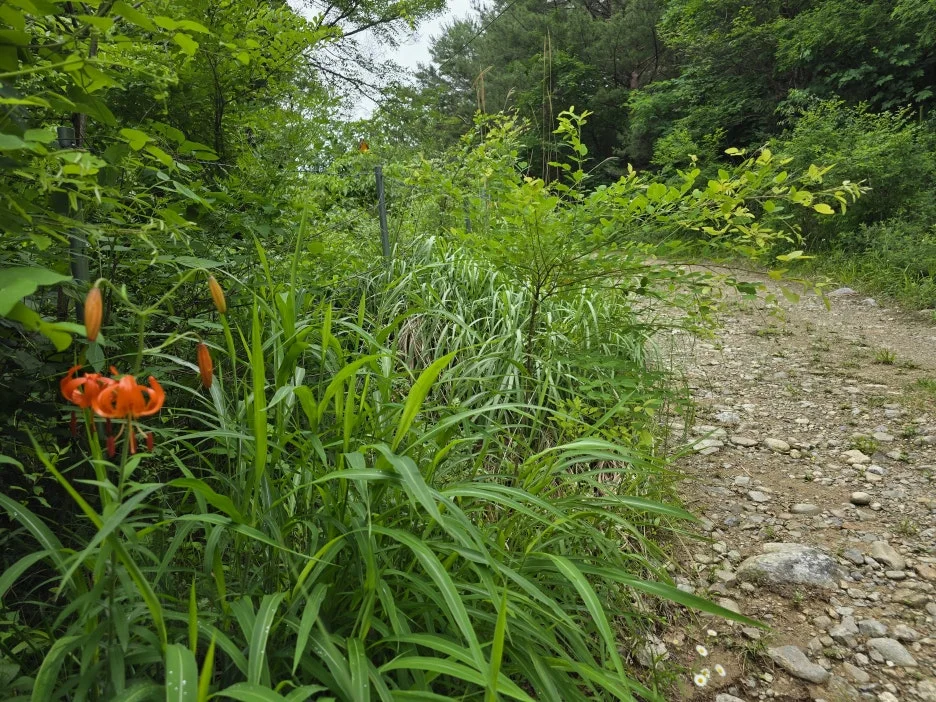 KakaoTalk_20250622_033408426_01.jpg?type=w1