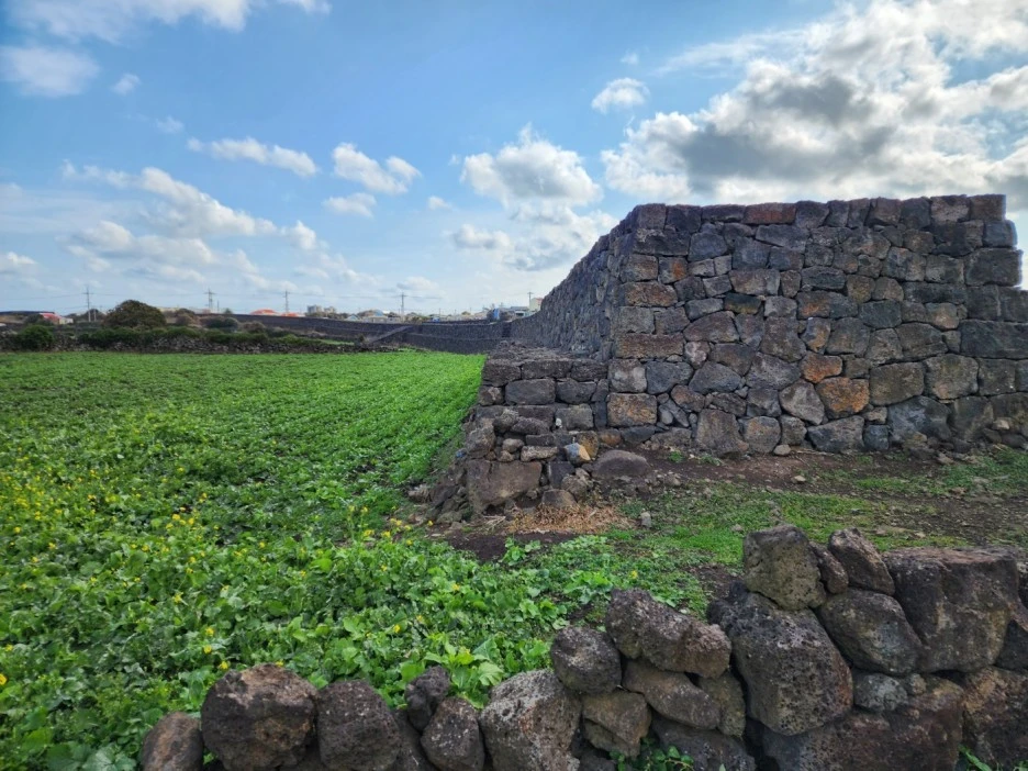 KakaoTalk_20221230_044226047_15.jpg?type=w1