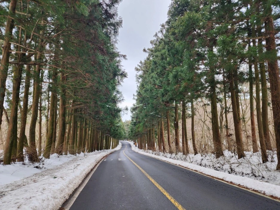 KakaoTalk_20230105_062519860.jpg?type=w1