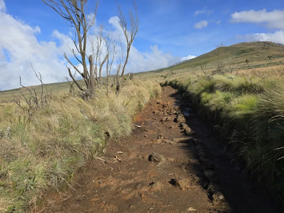 KakaoTalk_20250405_061148519_17.jpg?type=w1