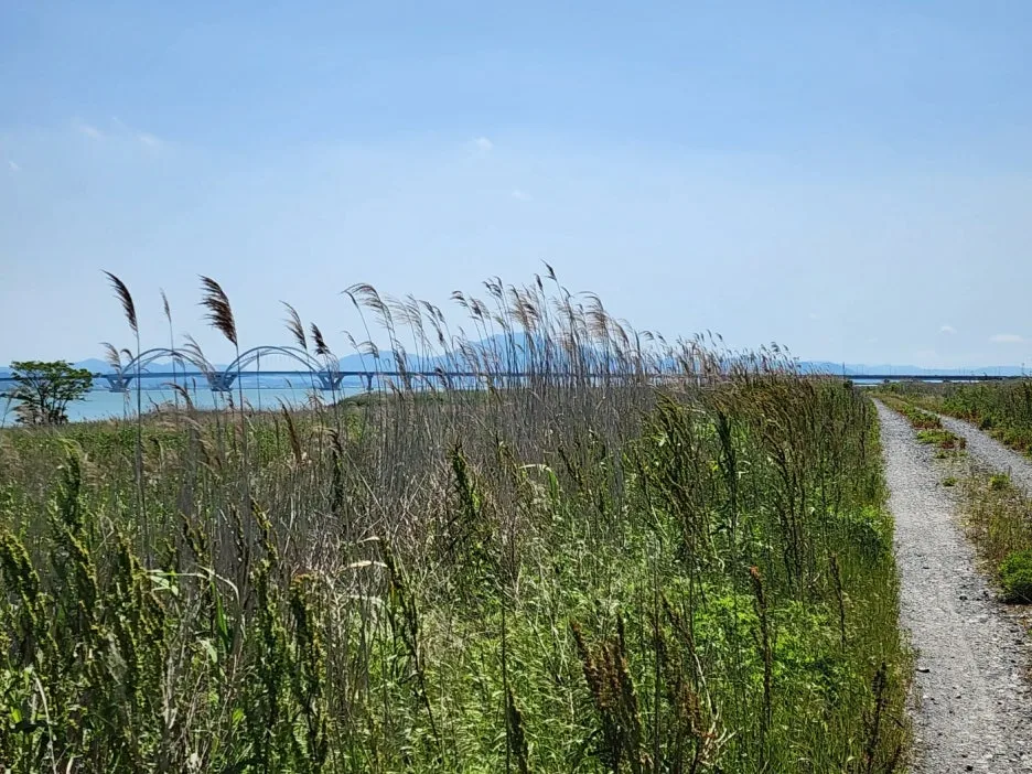 KakaoTalk_20240518_202622302_14.jpg?type=w1