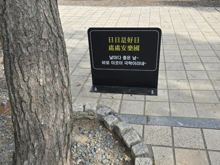 KakaoTalk_20241101_144709581_21.jpg?type=w1