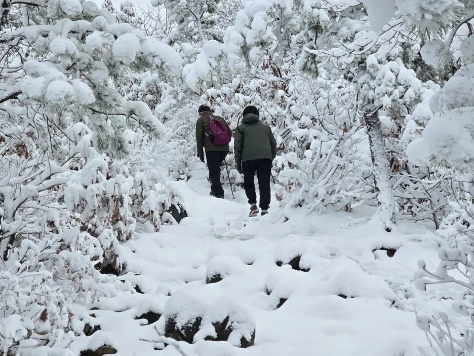 KakaoTalk_20241129_050938052_19.jpg?type=w1