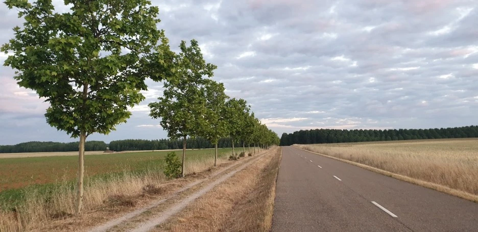 KakaoTalk_20220605_011851608_03.jpg?type=w1