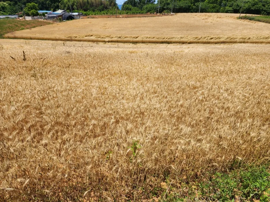 KakaoTalk_20240603_201229636_29.jpg?type=w1