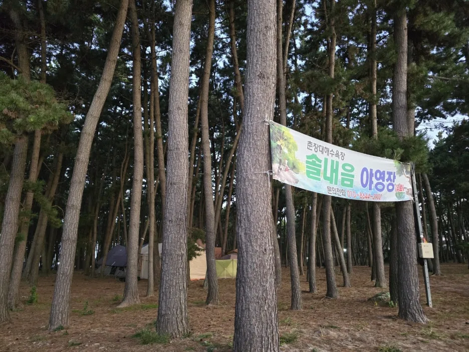 KakaoTalk_20241026_034442685.jpg?type=w1