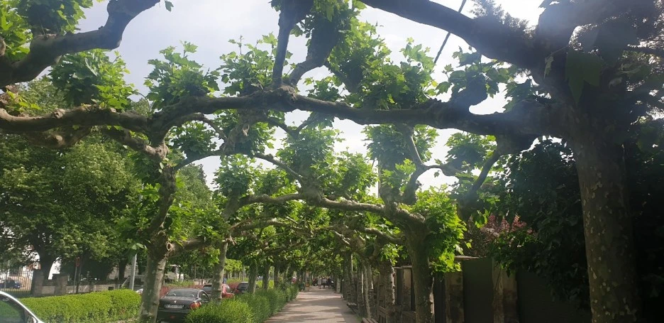 KakaoTalk_20220521_224440398_07.jpg?type=w1