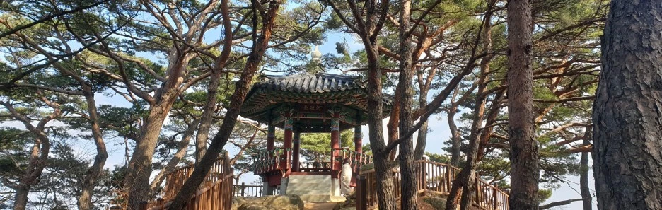 SE-edca7e24-81c5-4f0d-b7d6-81b16fbab235.jpg?type=w1