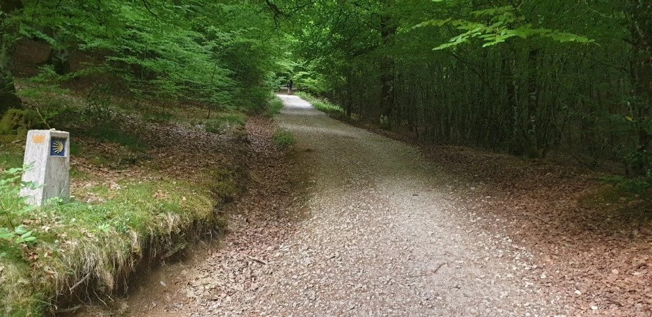 KakaoTalk_20220521_082725469_05.jpg?type=w1