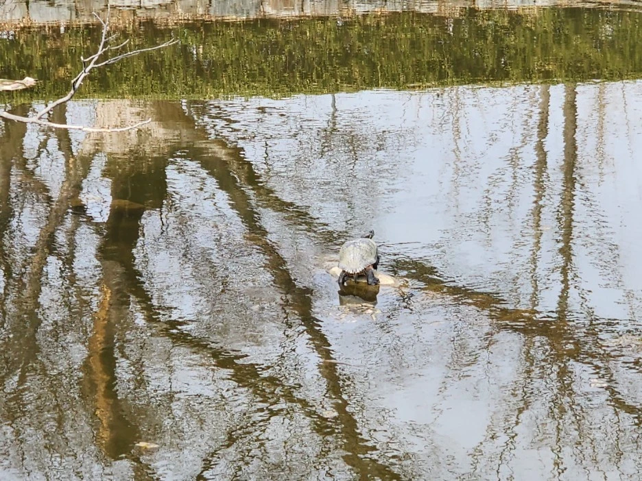 KakaoTalk_20230312_033555235_15.jpg?type=w1