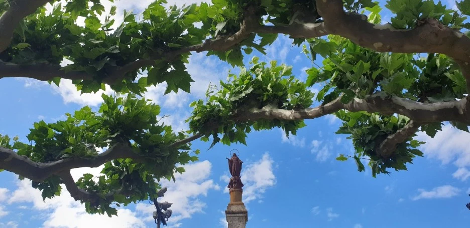 KakaoTalk_20220603_002339802.jpg?type=w1