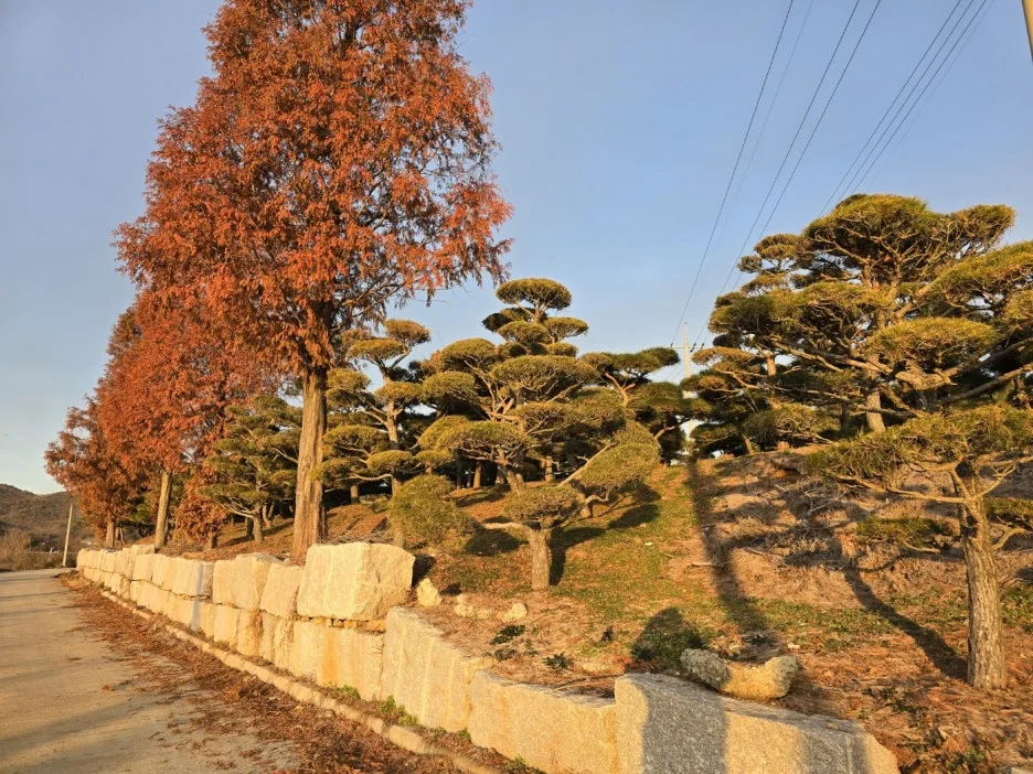 KakaoTalk_20241205_054240507_03.jpg?type=w1