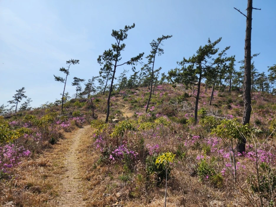 KakaoTalk_20230402_050707846_14.jpg?type=w1