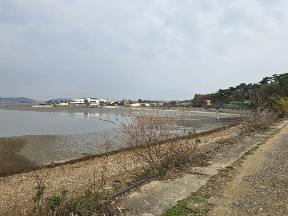 KakaoTalk_20241121_163313957_20.jpg?type=w1