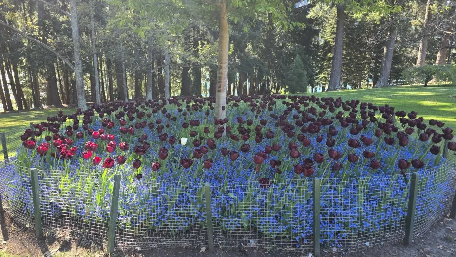 KakaoTalk_20251102_131216551_10.jpg?type=w1