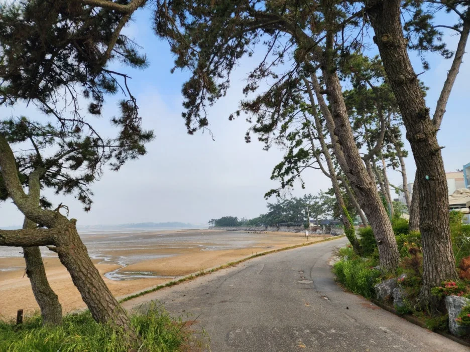 KakaoTalk_20240521_140452510_19.jpg?type=w1