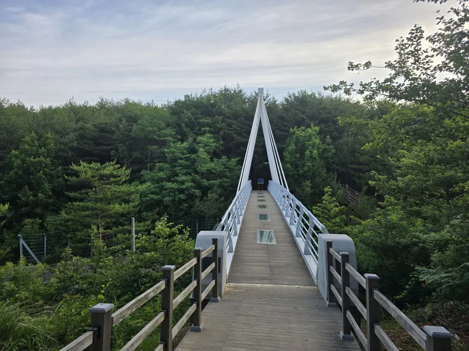 KakaoTalk_20250624_153636444_10.jpg?type=w1