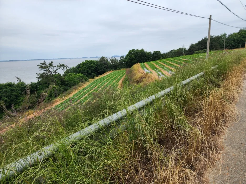 KakaoTalk_20240526_220649914_14.jpg?type=w1