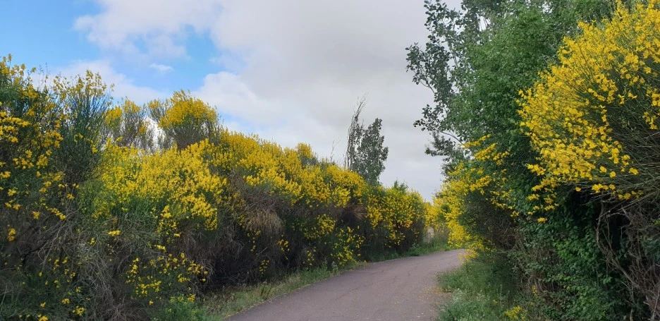 1653551496696.jpg?type=w1