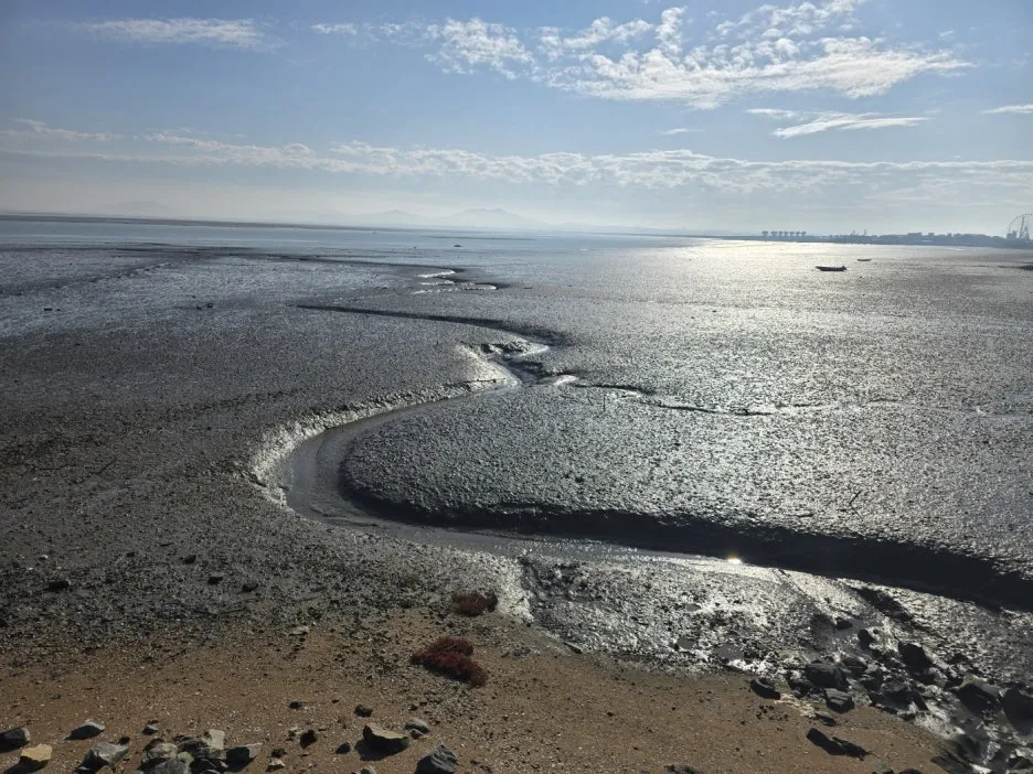 KakaoTalk_20241117_054428410_28.jpg?type=w1