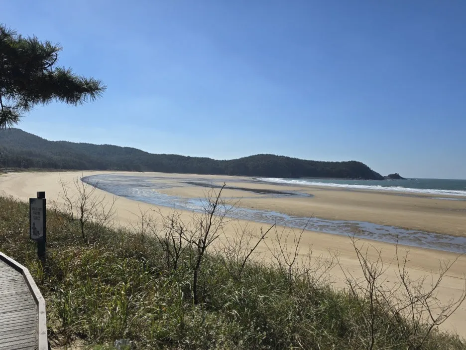 KakaoTalk_20241107_045832646_27.jpg?type=w1