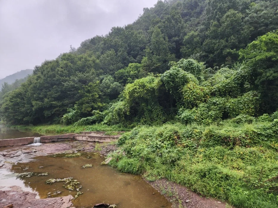 KakaoTalk_20240916_061643357_01.jpg?type=w1