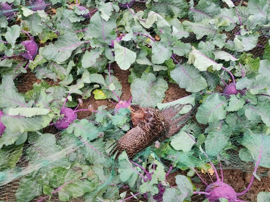 KakaoTalk_20221227_233016012_03.jpg?type=w1