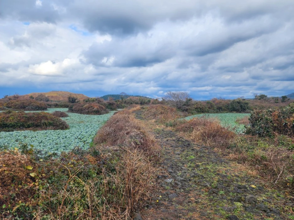 KakaoTalk_20221227_233431851_09.jpg?type=w1