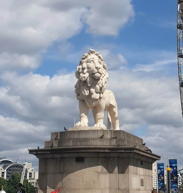 SE-43093504-efae-4426-8151-8cea76737b5b.jpg?type=w1