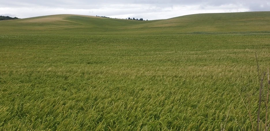 KakaoTalk_20220524_210002837_05.jpg?type=w1