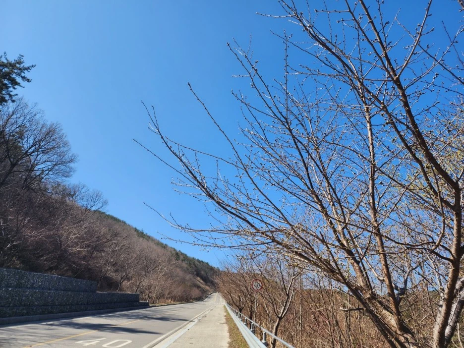 KakaoTalk_20230315_023309142_12.jpg?type=w1