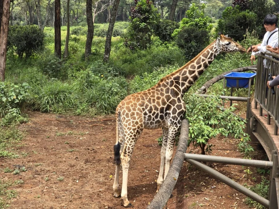 KakaoTalk_20250328_023001721_05.jpg?type=w1