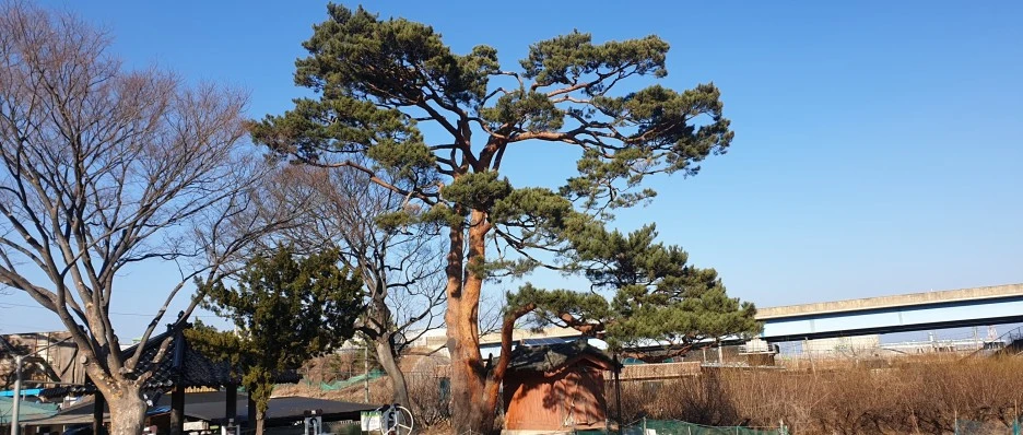 SE-05180fbb-2c3d-428d-8415-1e416cf9e6b7.jpg?type=w1