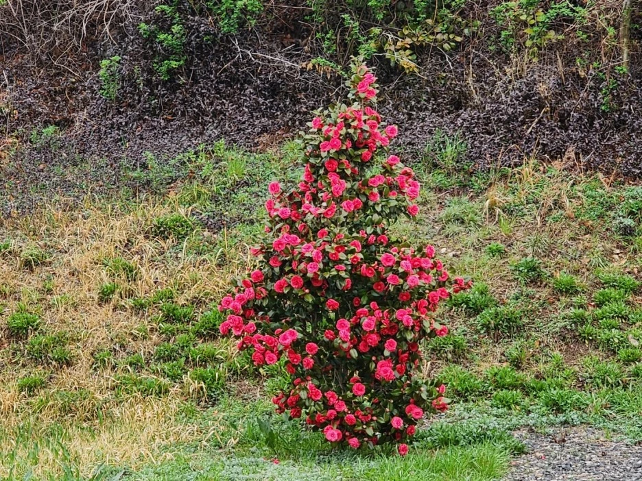 KakaoTalk_20230326_170927245_08.jpg?type=w1