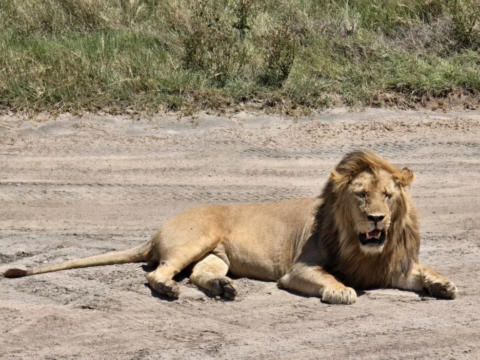 KakaoTalk_20250405_135250372_21.jpg?type=w1