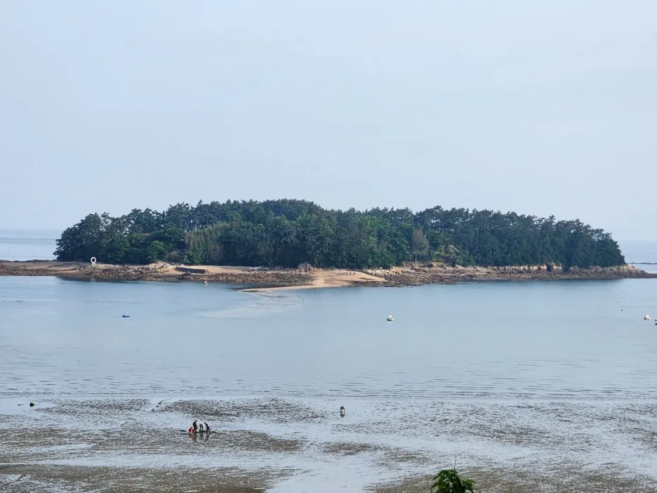 KakaoTalk_20240605_161917270_16.jpg?type=w1