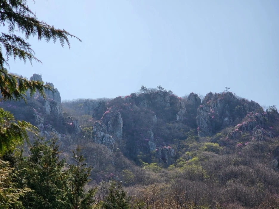 KakaoTalk_20230402_050707846_10.jpg?type=w1