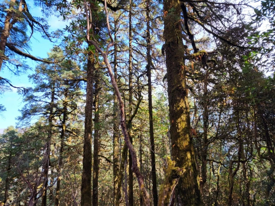 KakaoTalk_20221115_225813746_09.jpg?type=w1