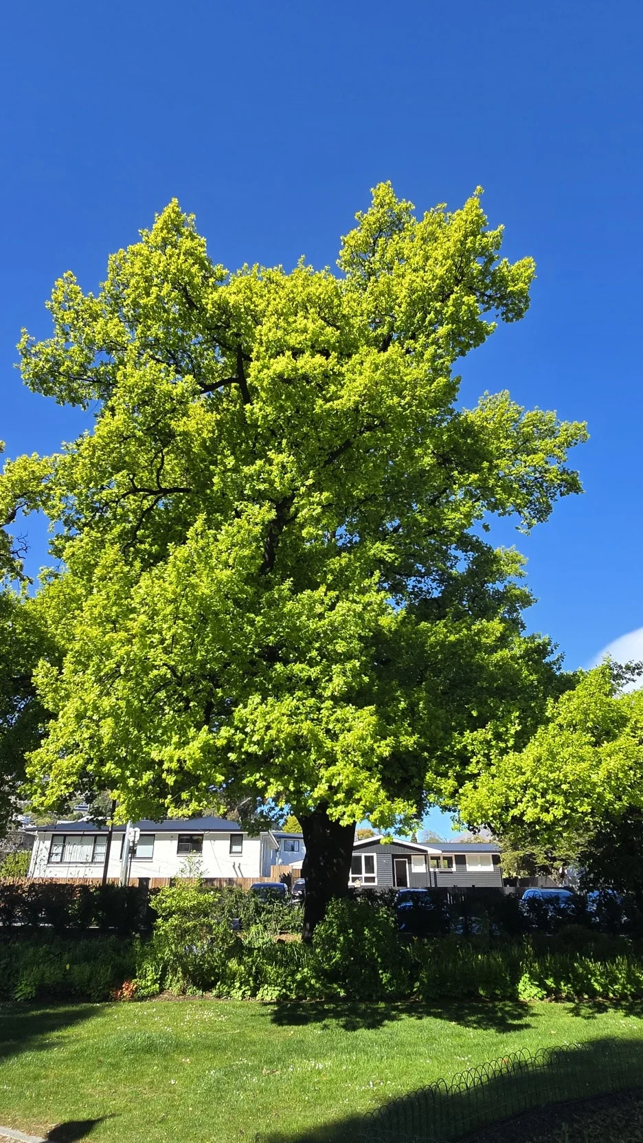 KakaoTalk_20251102_131216551_19.jpg?type=w1