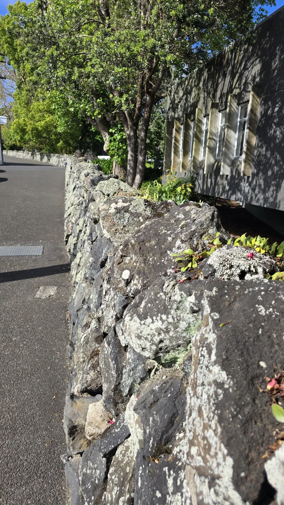 KakaoTalk_20251115_075343906_25.jpg?type=w1