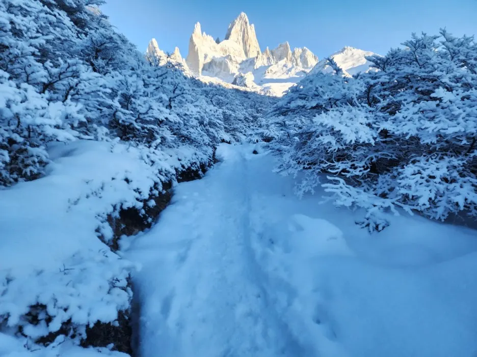 KakaoTalk_20240809_071433247_02.jpg?type=w1