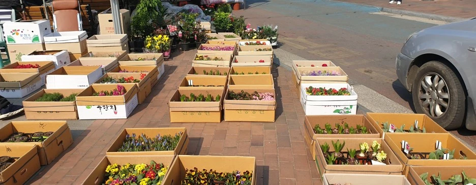 SE-cef9cbb6-591c-4b82-bab1-8454b43d7117.jpg?type=w1